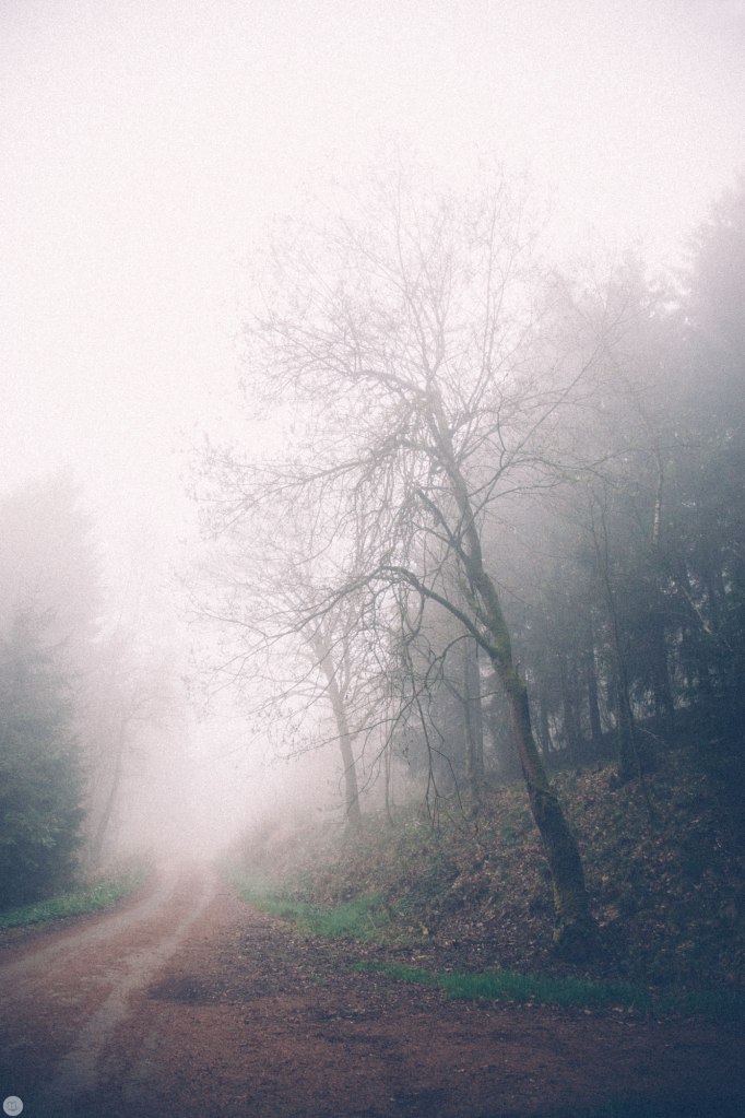 2014-online_0298_deaf-lands_001_online