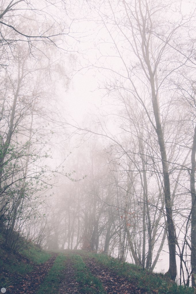 2014-online_0299_deaf-lands_002_online