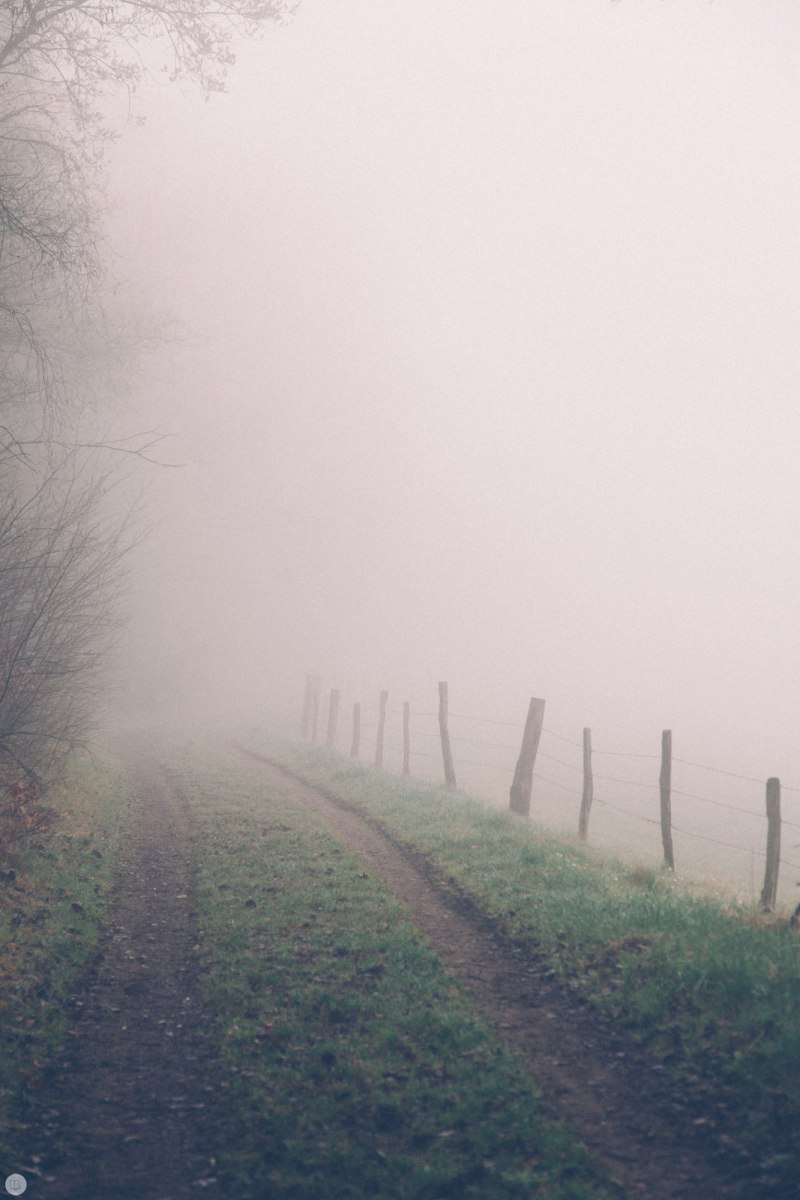 2014-online_0300_deaf-lands_003_online