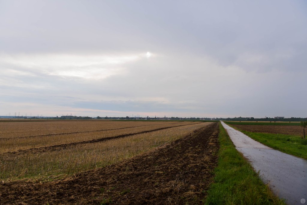 2014-online_0705_hands-on_nikon-d810_025