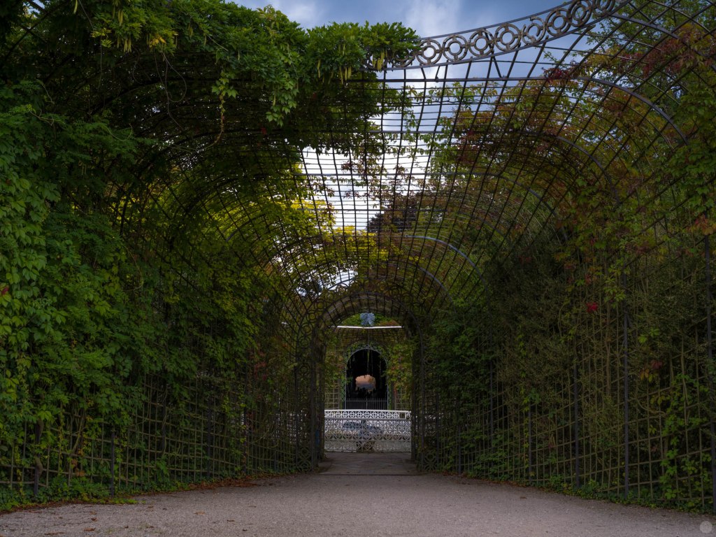 2014-online_0788_hands-on_pentax-645z_030