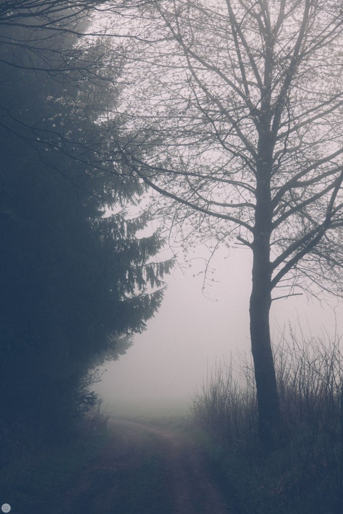 2014-online_0302_deaf-lands_005_online