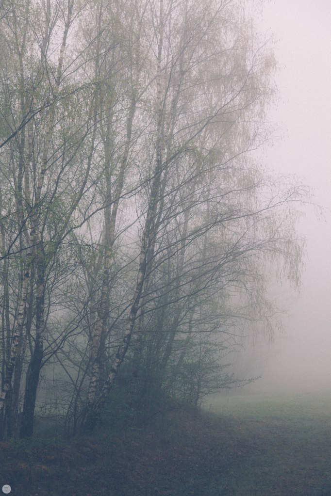 2014-online_0303_deaf-lands_006_online