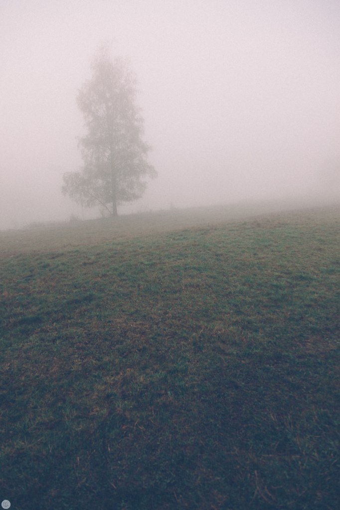 2014-online_0304_deaf-lands_007_online