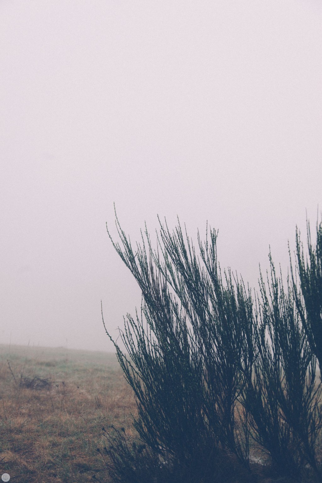 Deaf Lands 7 &&nbsp;8