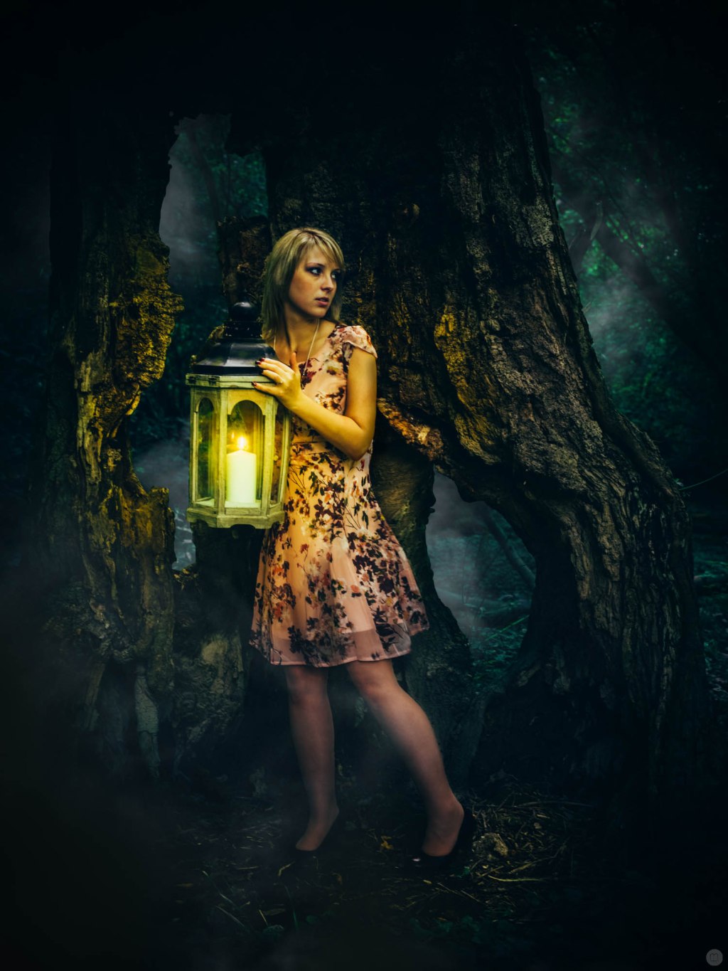 there’s something in the woods,&nbsp;pt.I