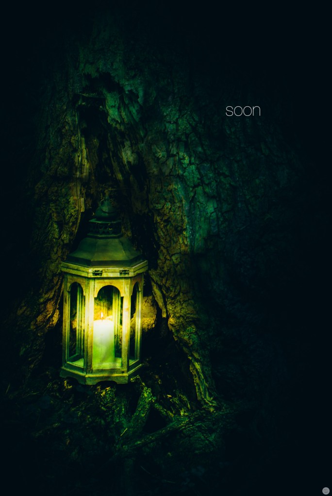 2014-online_0796_theres-something-in-the-woods_000