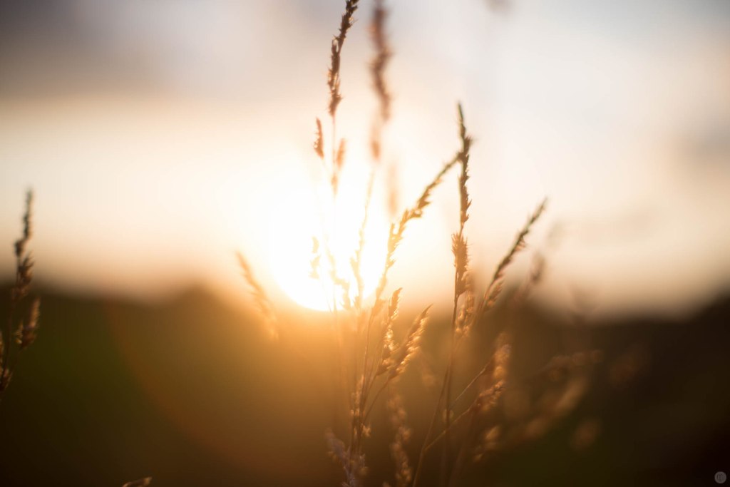 2014-online_0850_blink_002