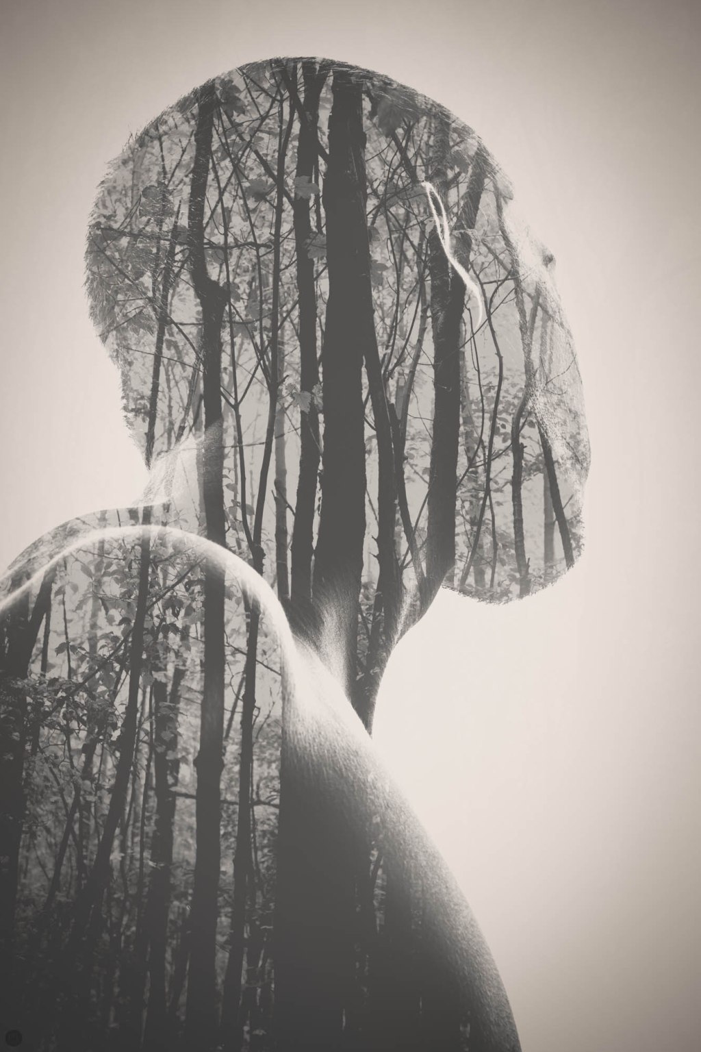 formed memories VIII