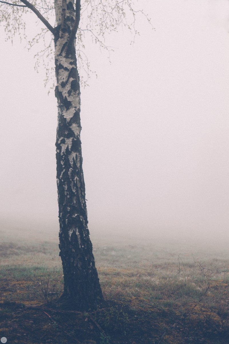 2014-online_0307_deaf-lands_010_online