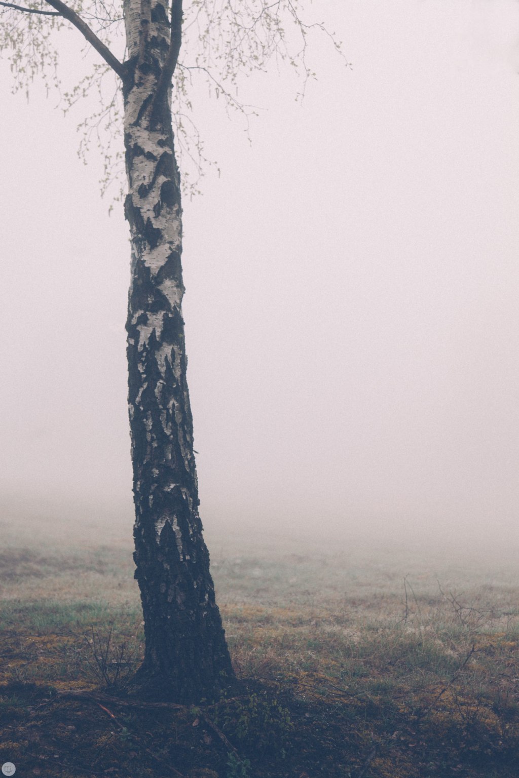 Deaf Lands 9 &&nbsp;10