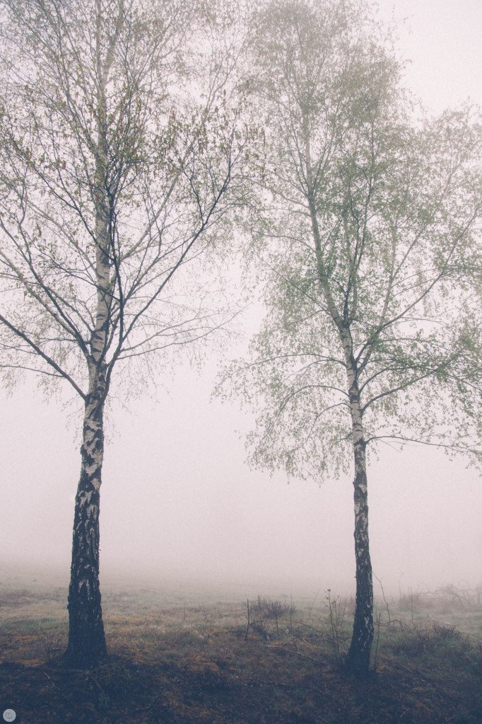 2014-online_0308_deaf-lands_011_online