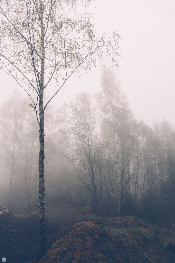 2014-online_0309_deaf-lands_012_online