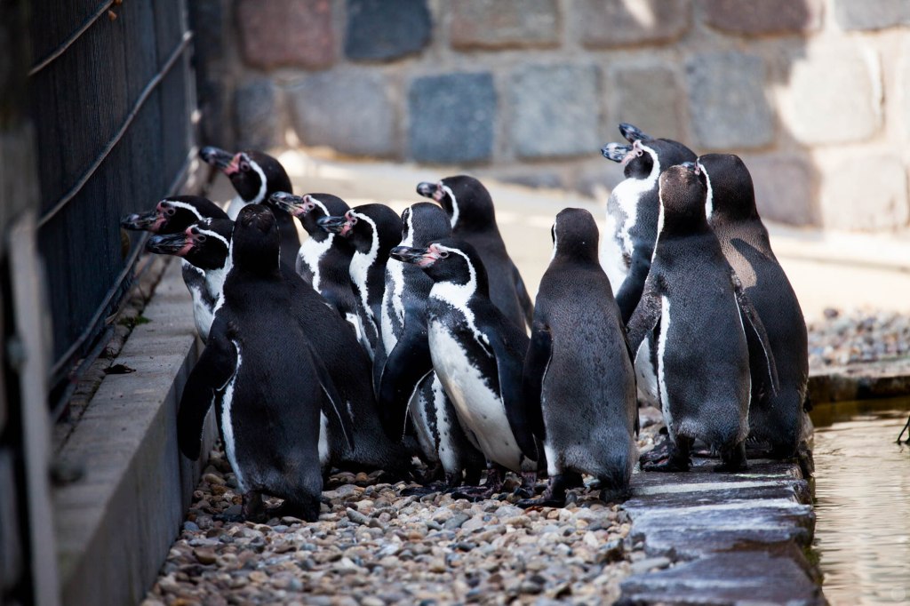 2014-online_0985_hands-on_sigma-150-600s_002