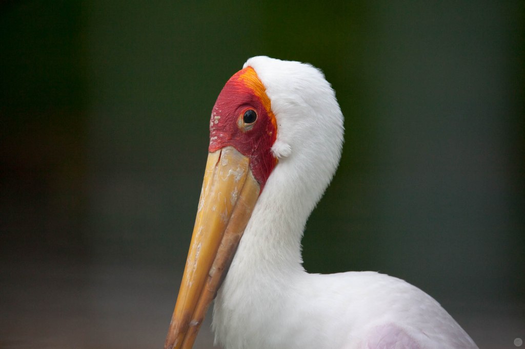 2014-online_1011_hands-on_sigma-150-600s_028