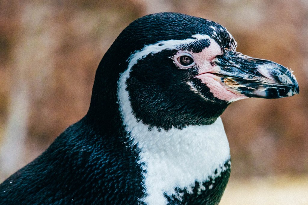 2014-online_1186_doc-shard_001