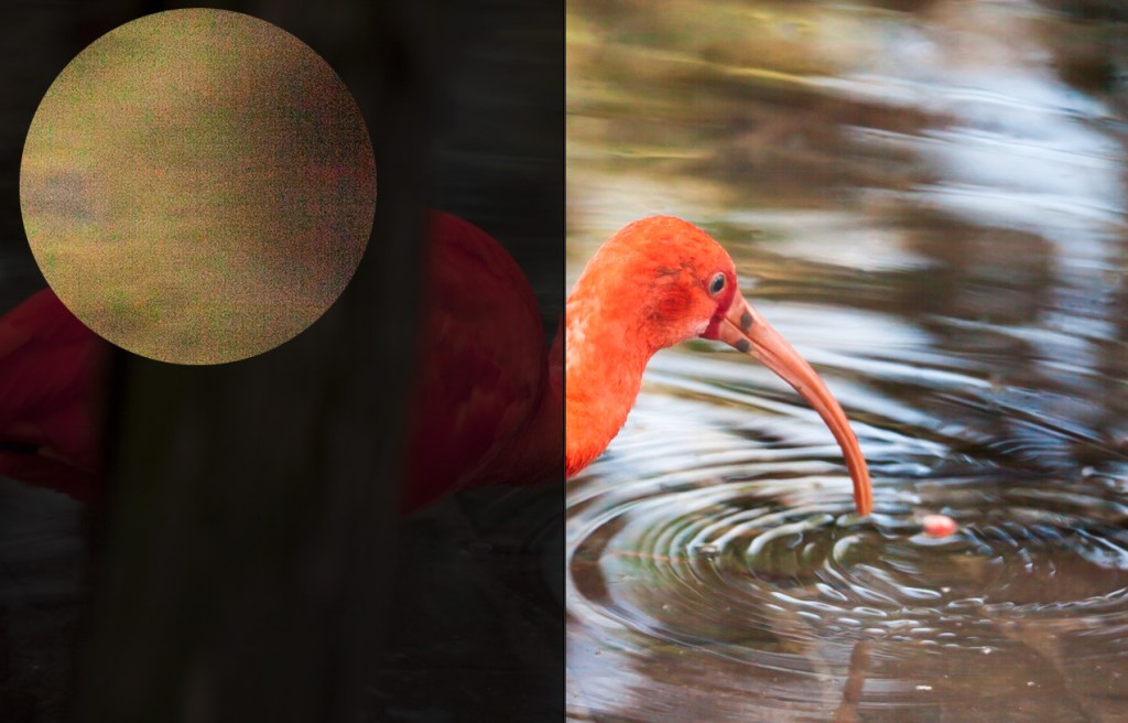 hands-on_sigma-150-600mm_noise