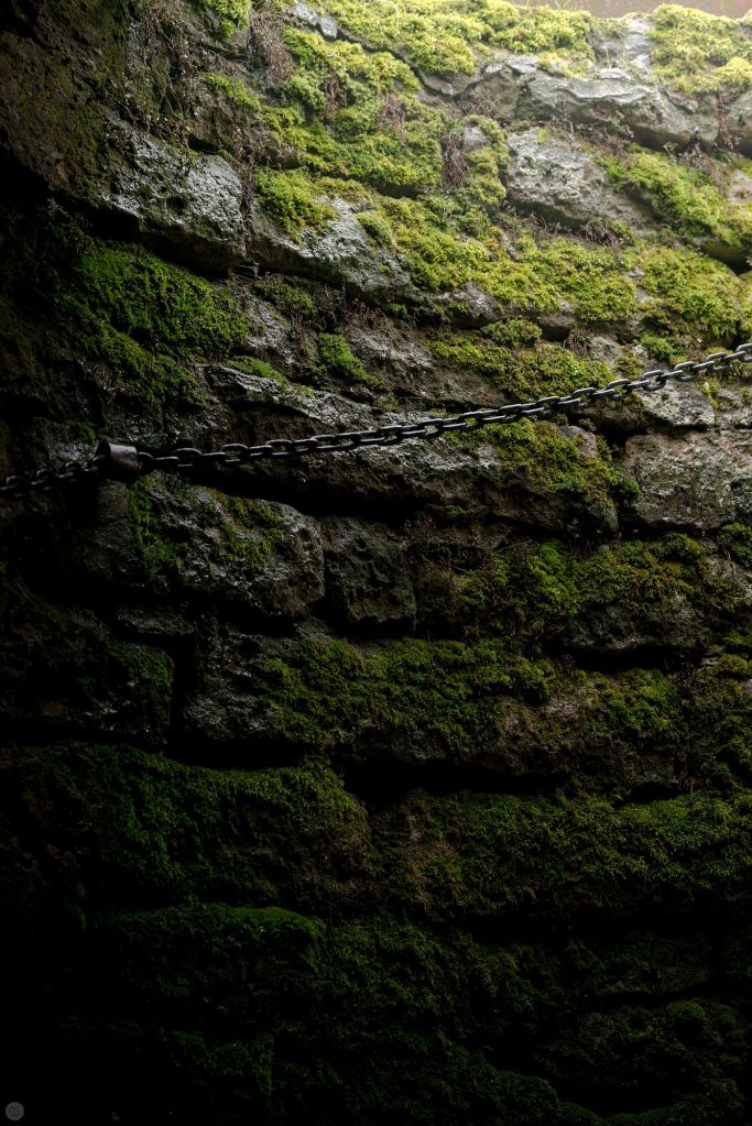 2014-online_0108_lead-me-to_001_online