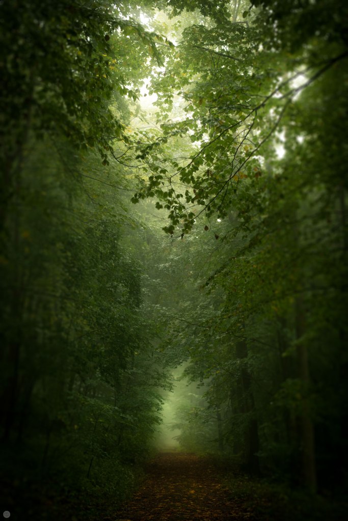 2014-online_0154_green-hallway_001_online