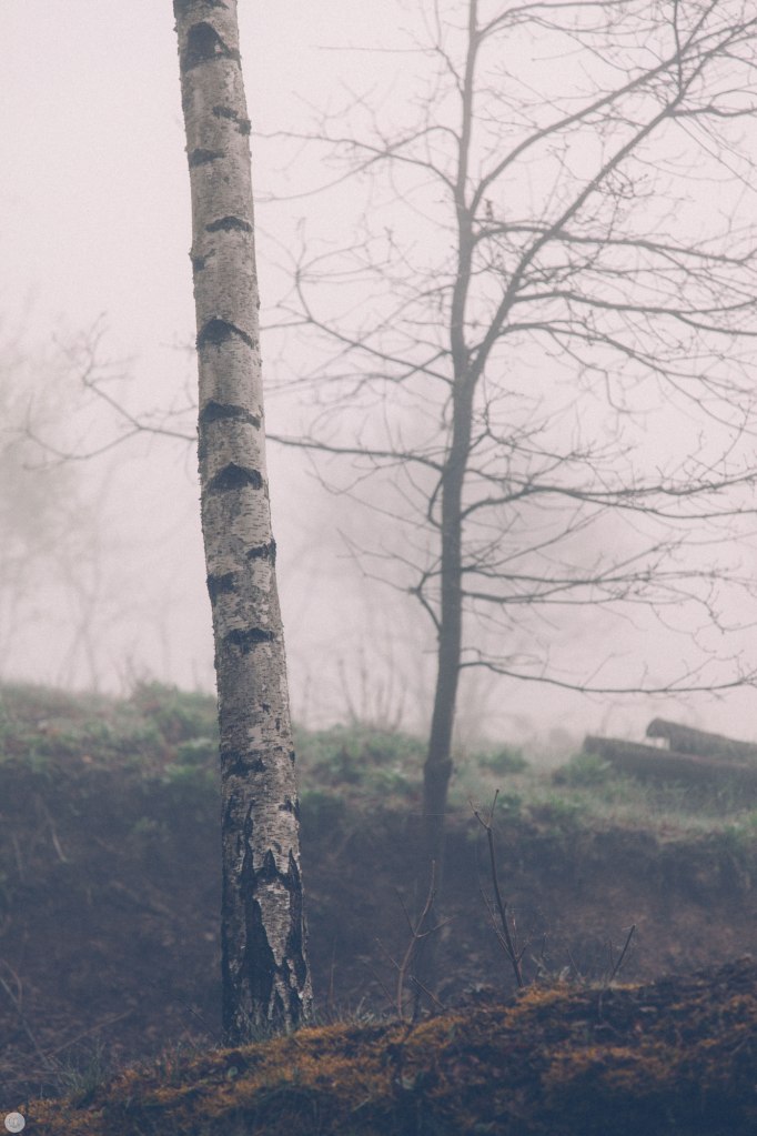 2014-online_0310_deaf-lands_013_online