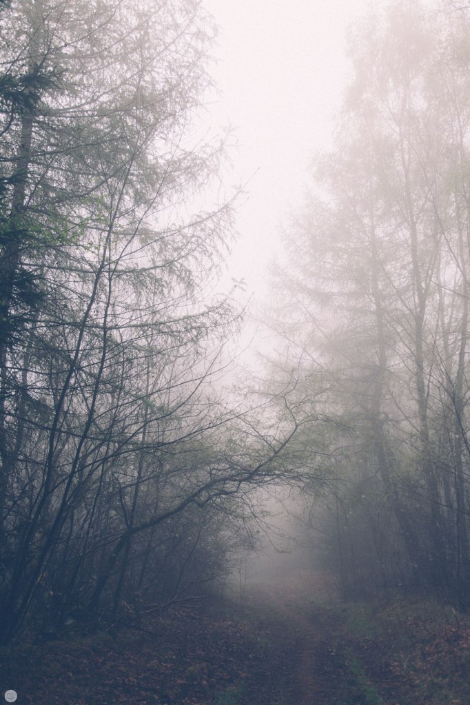 2014-online_0311_deaf-lands_014_online