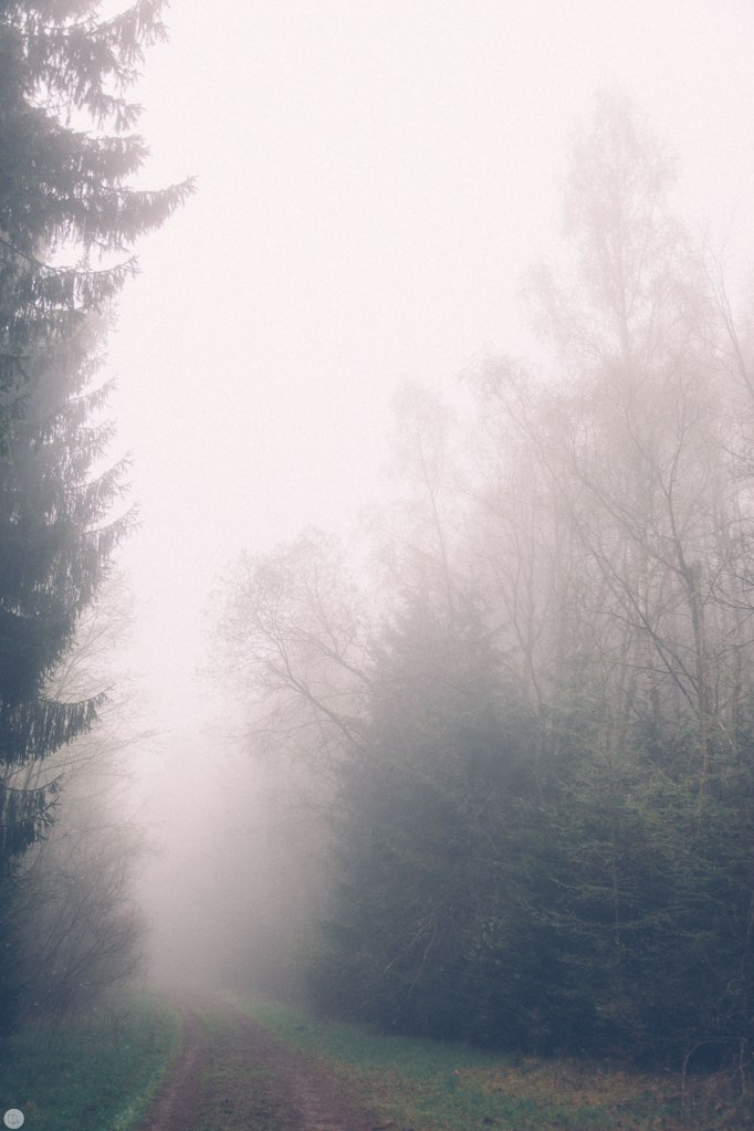 2014-online_0313_deaf-lands_016_online