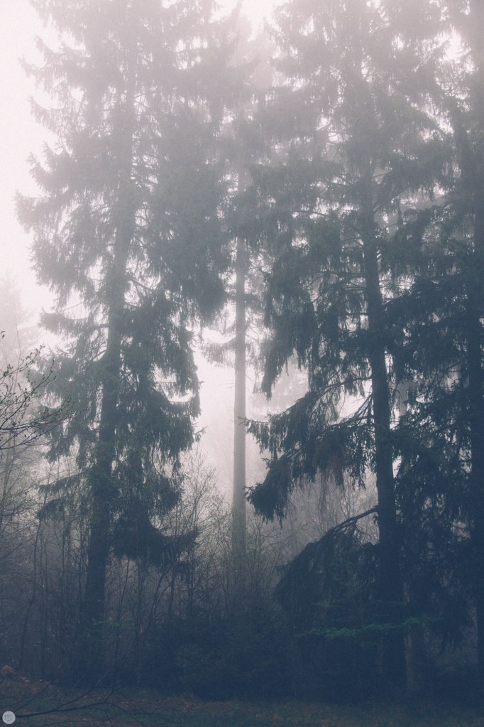 2014-online_0314_deaf-lands_017_online