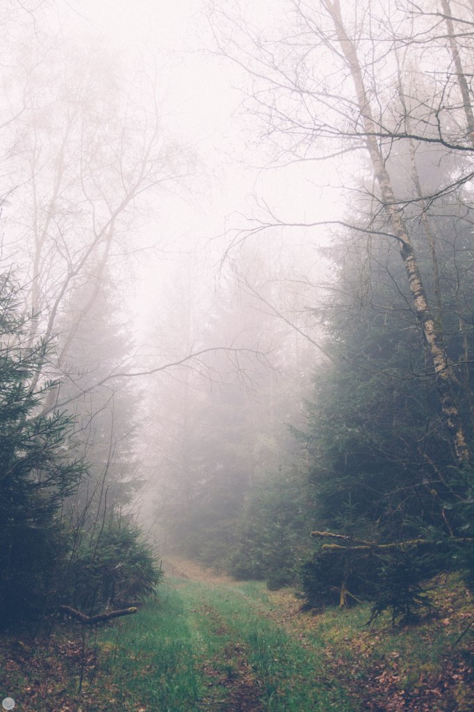 2014-online_0315_deaf-lands_018_online