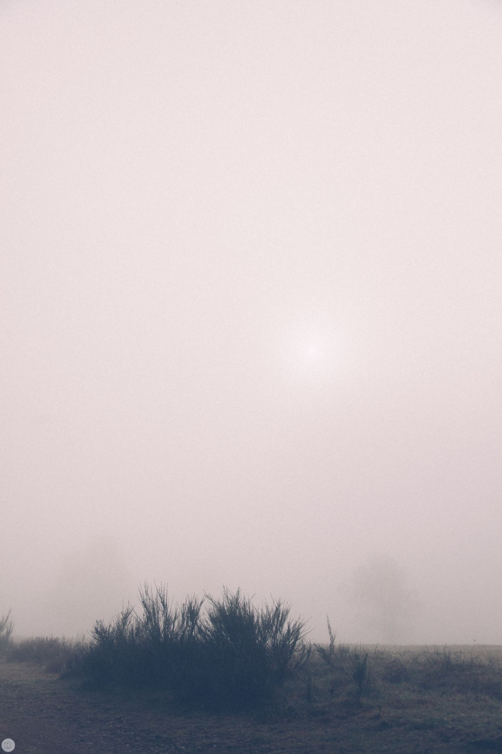 Deaf Lands 19 &&nbsp;20