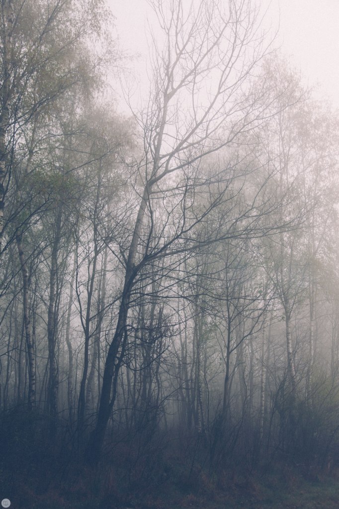 2014-online_0317_deaf-lands_020_online