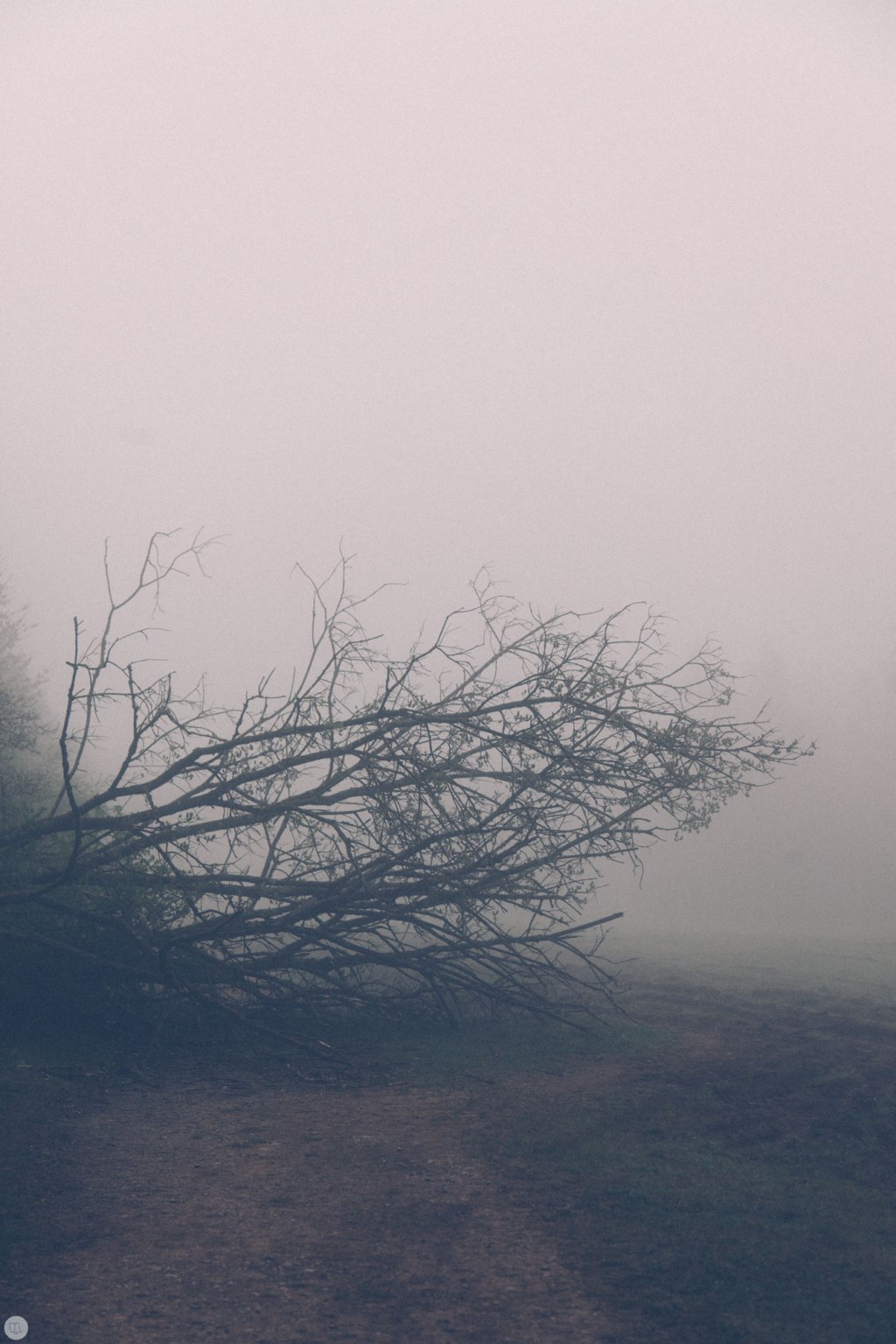 Deaf Lands 21, 22 &&nbsp;23