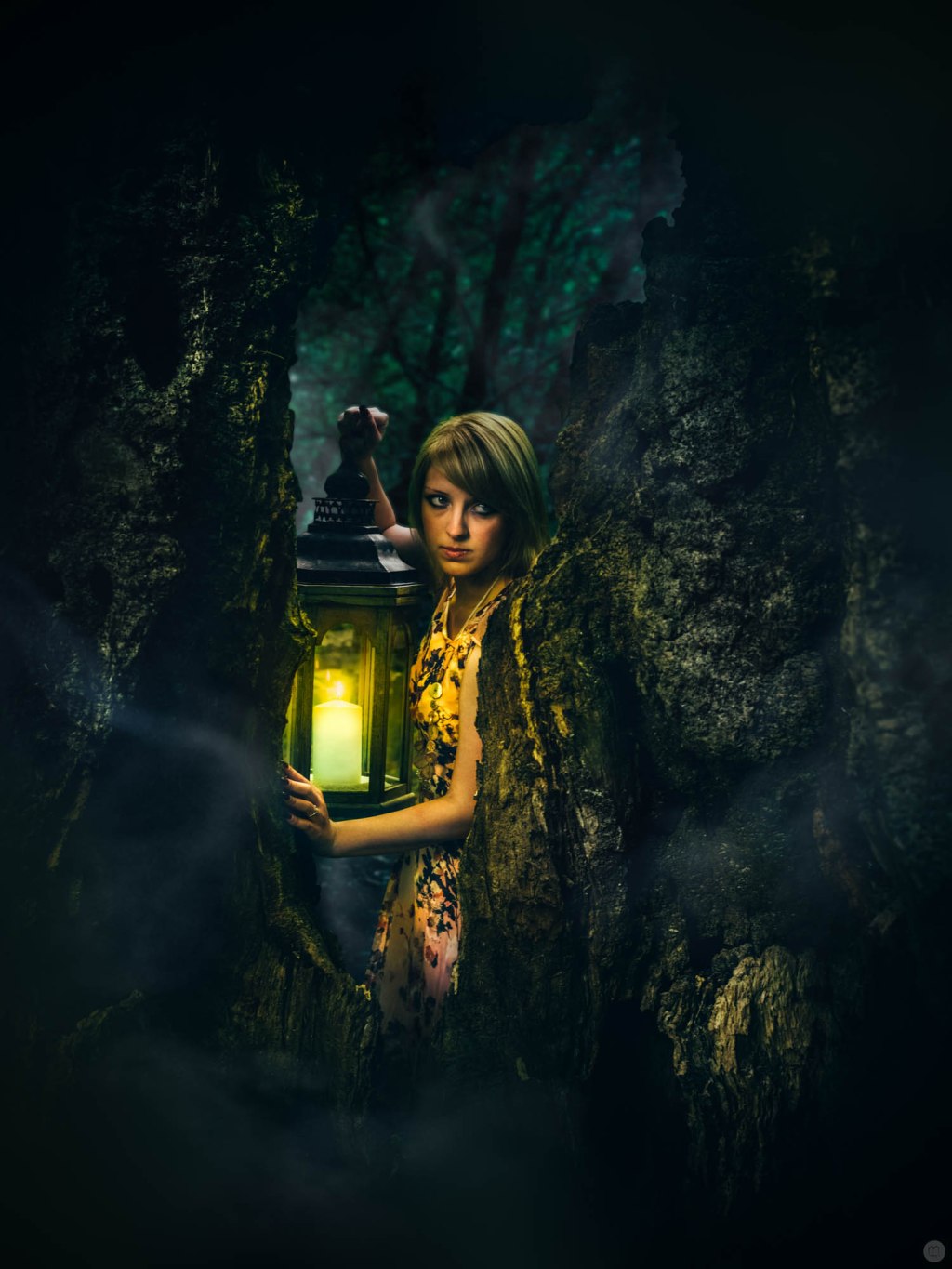 there’s something in the woods,&nbsp;pt.III