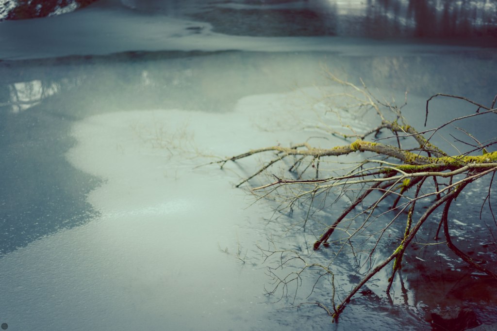 2014-online_0111_ice-cabinet_001_online