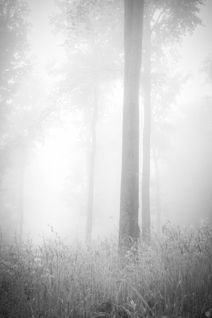 2014-online_0156_specters_001_online