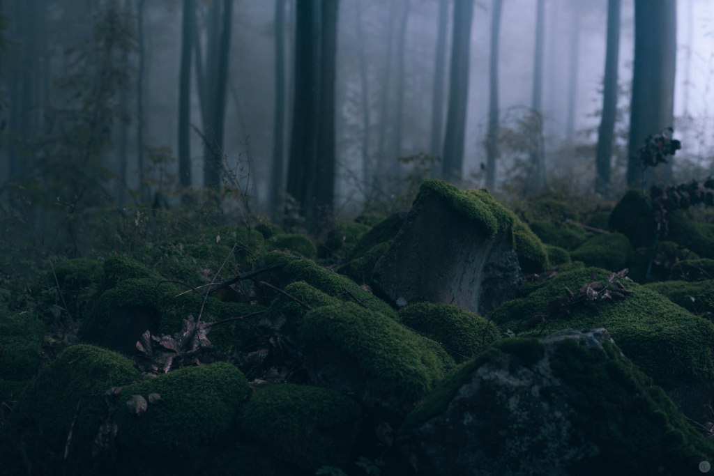 2014-online_0159_before-night-falls_001_online