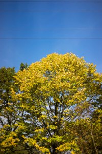 2014-online_1249_hands-on_zeiss-loxia-235_001