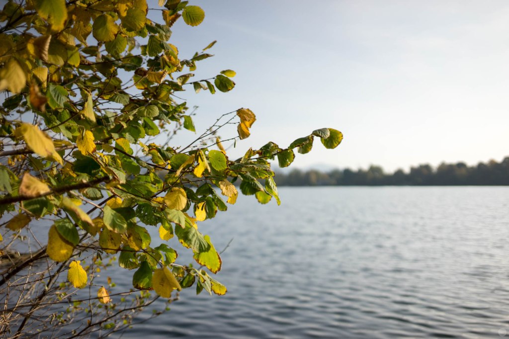 2014-online_1266_hands-on_zeiss-loxia-235_018