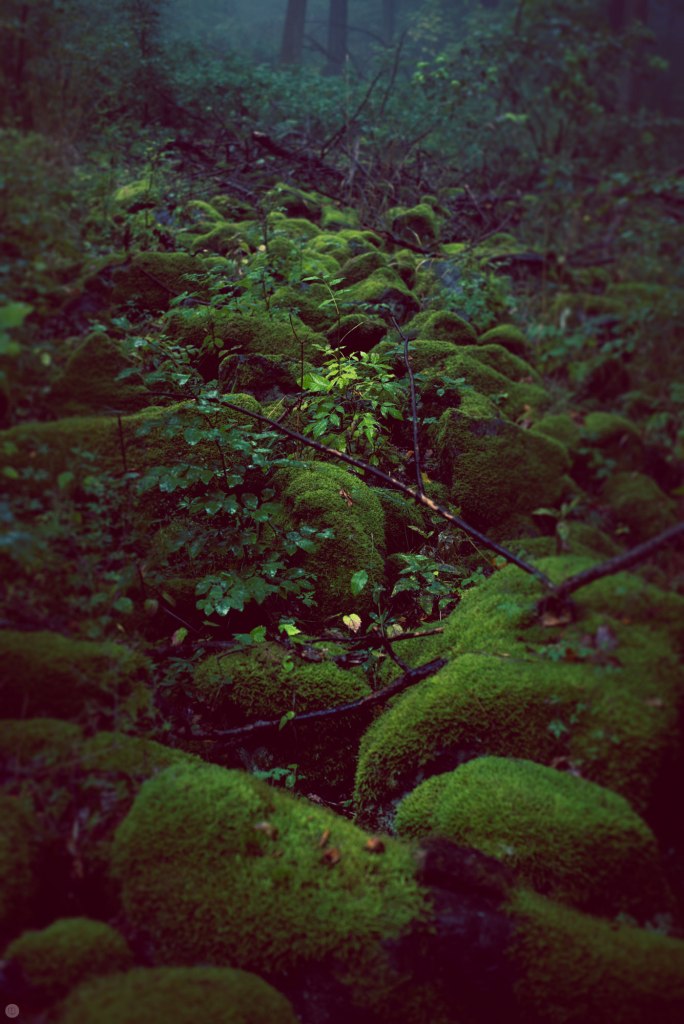 2014-online_0160_hidden-stones_001_online