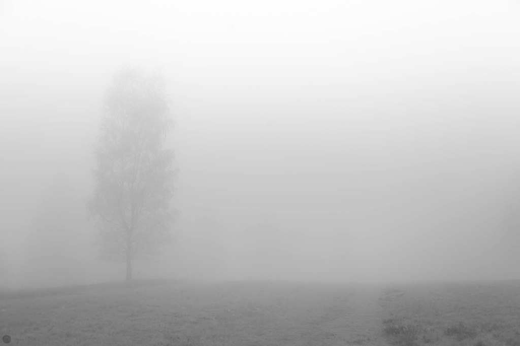 2014-online_0321_land-of-confusion_001_online