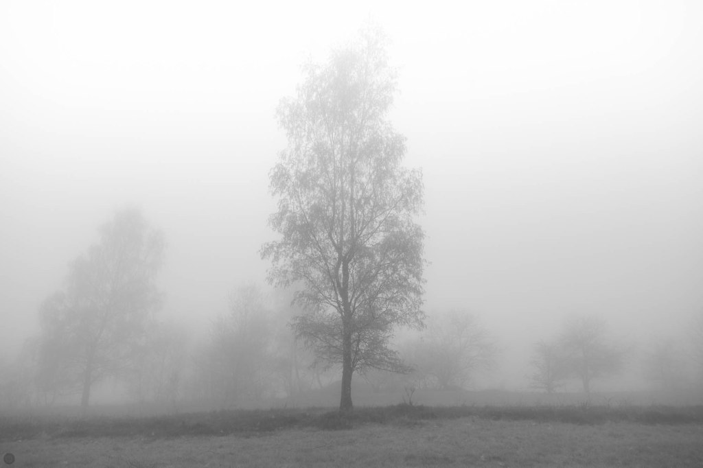 land of confusion&nbsp;III