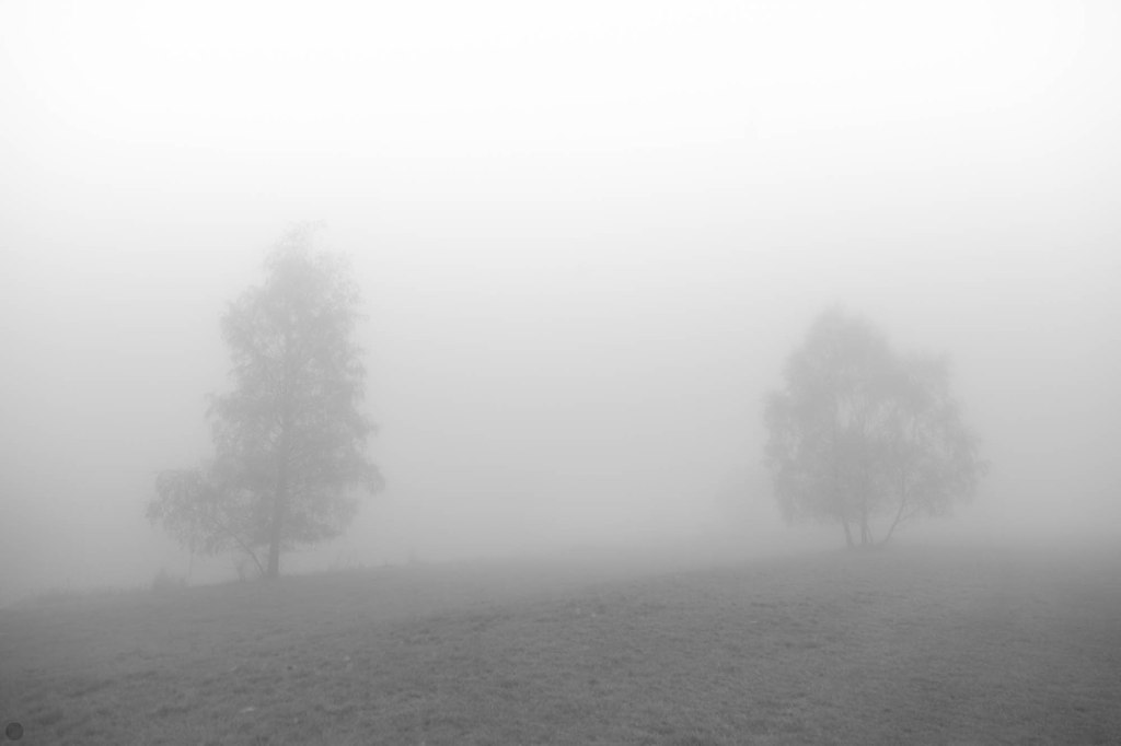 land of confusion&nbsp;IV