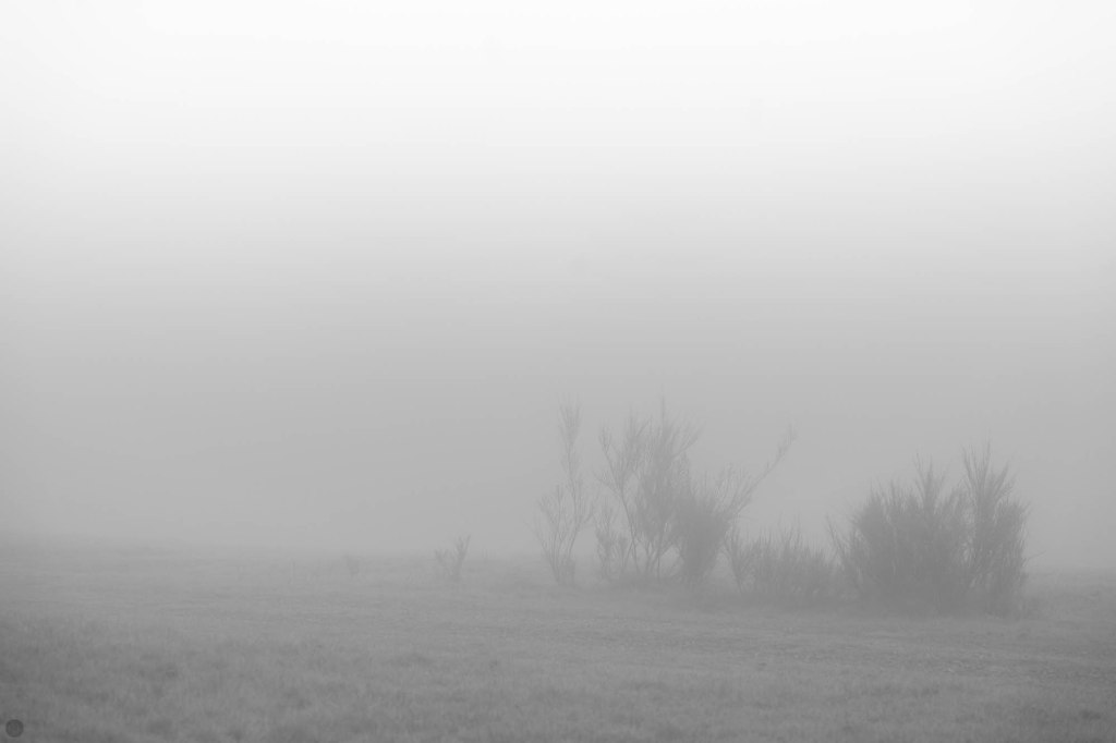 land of confusion&nbsp;V