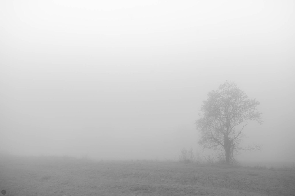 land of confusion&nbsp;VI