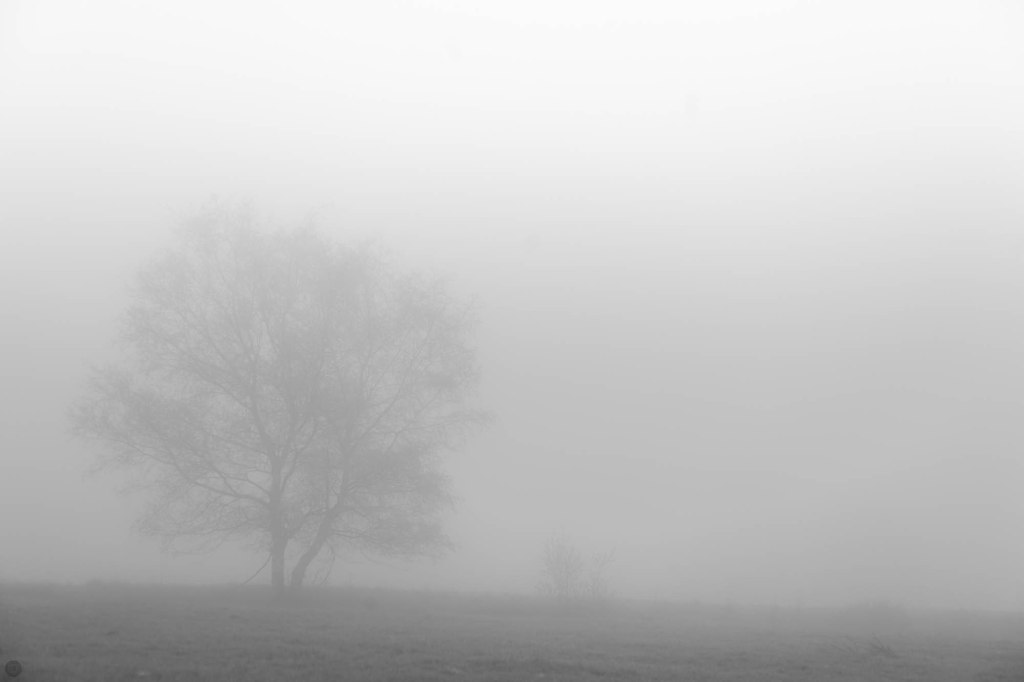 2014-online_0327_land-of-confusion_007_online