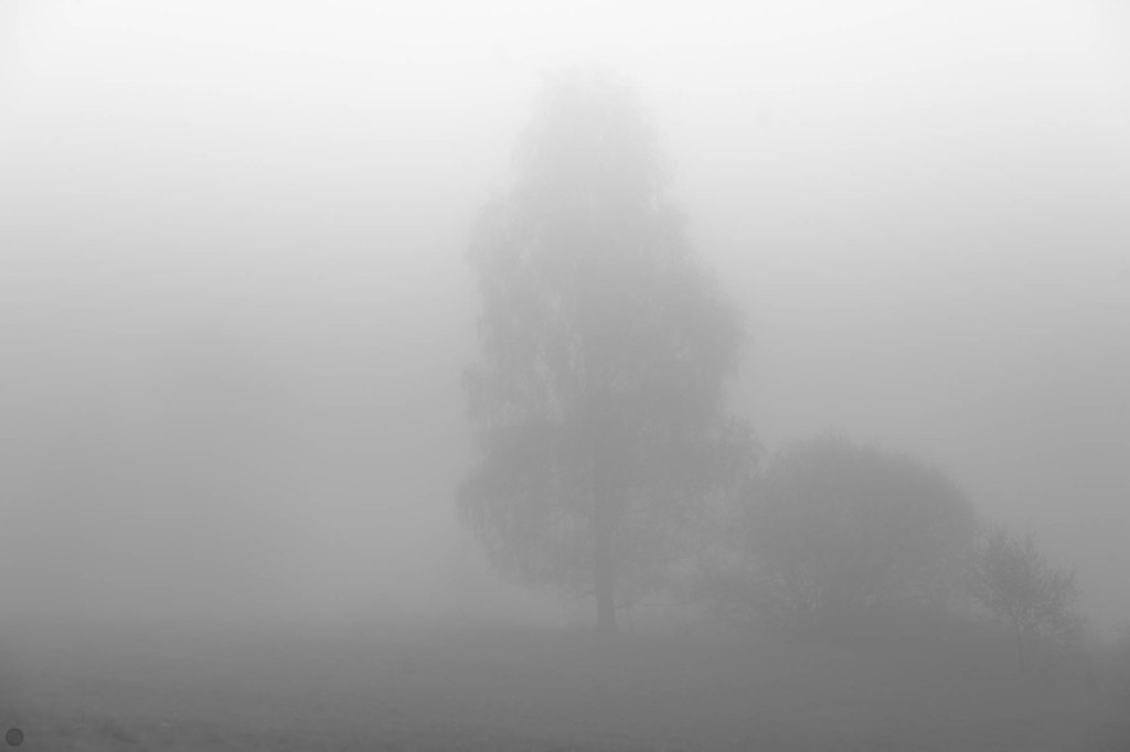 2014-online_0328_land-of-confusion_008_online