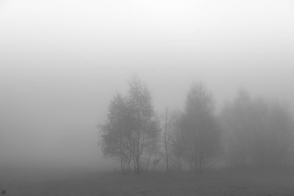 land of confusion&nbsp;IX