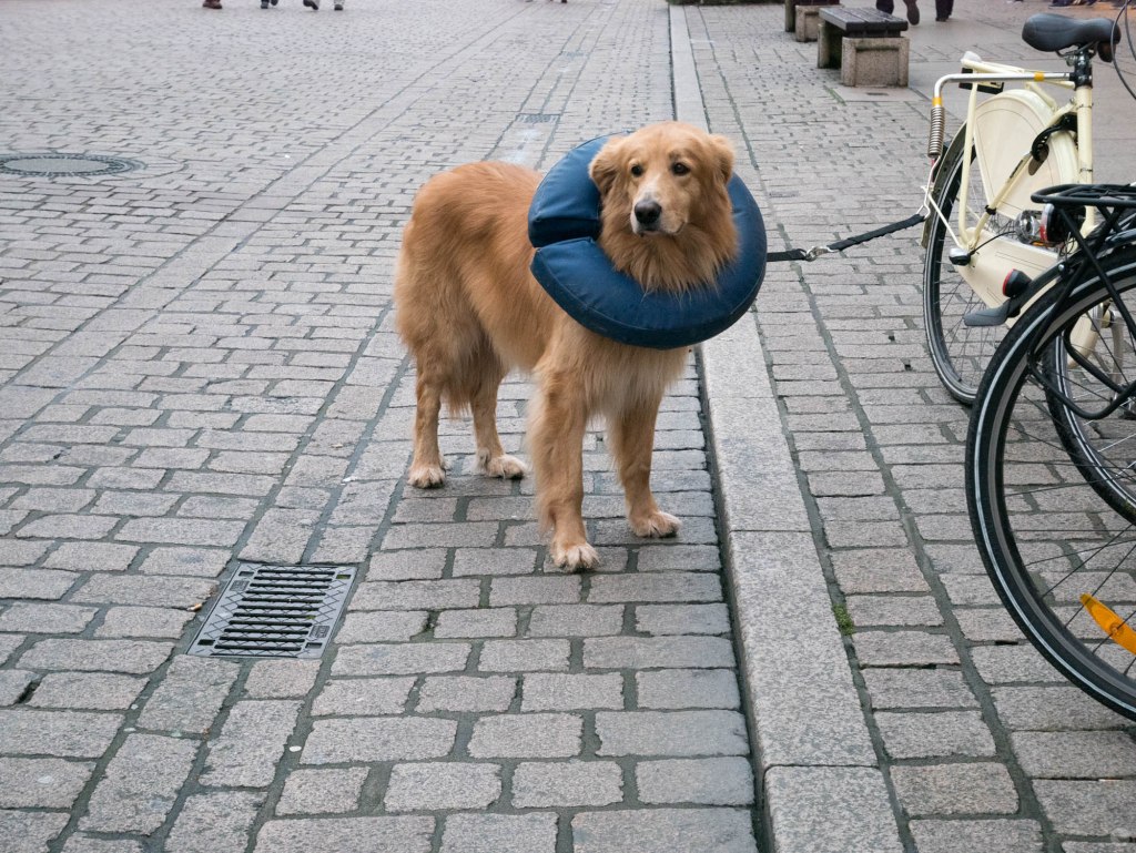 2014-online_1431_hands-on_panasonic-gm5_022