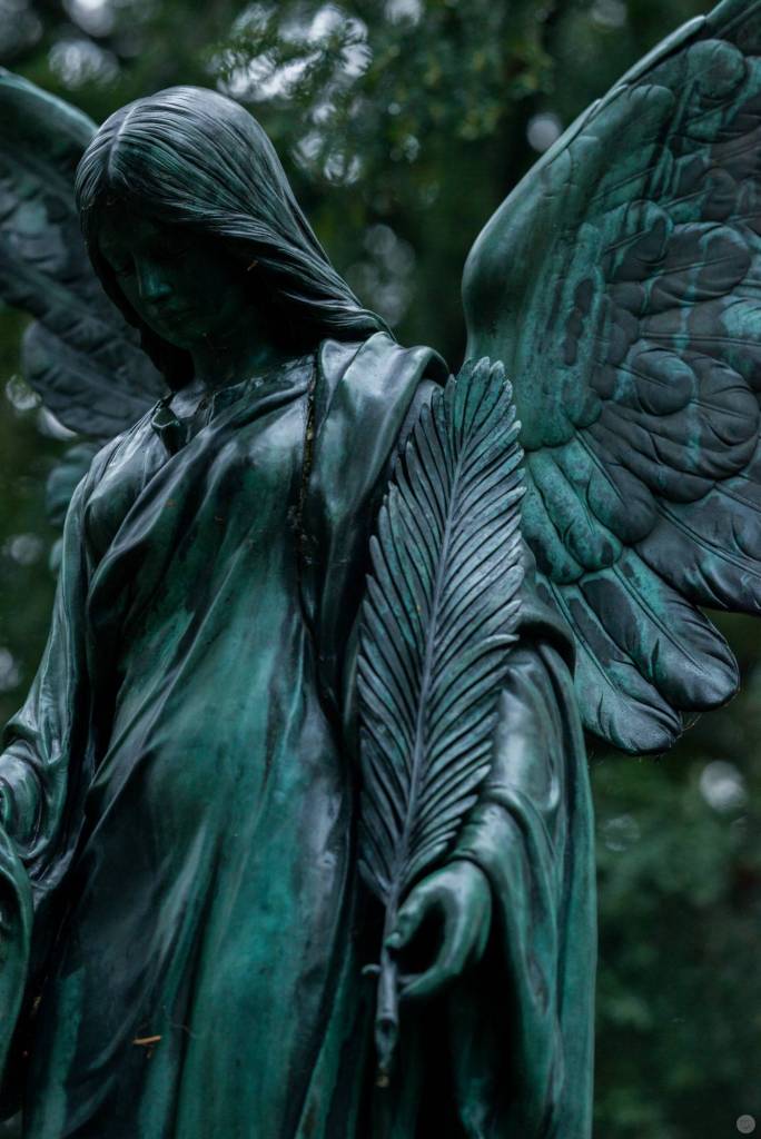 2015-final_0076_hands-on_walimex-pro-135f2_030