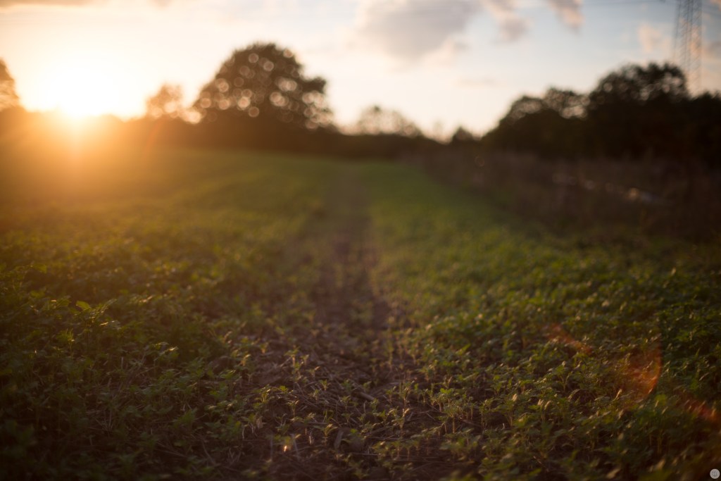 mworkz_50mm_nikkor50f12-nikon-d800_001