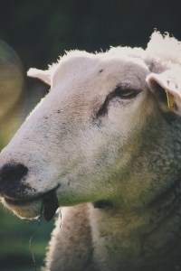 Processed with VSCOcam with g2 preset